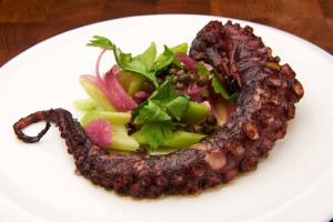 Grilled Octopus