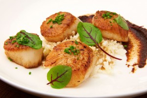 Pan Seared Scallops